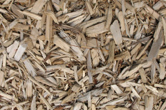 biomass boilers Cabbacott
